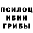 Метадон белоснежный Gerda Soydt