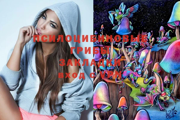 spice Армянск
