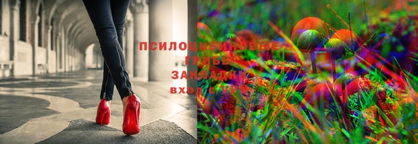прущие грибы Лагань